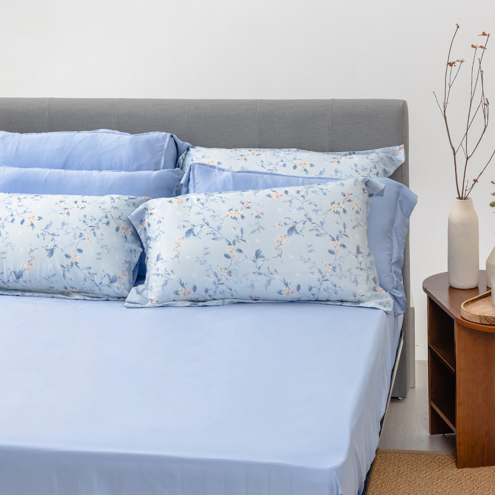 【青鳥家居】2023頂級LF天絲單人床包枕套二件組-多款花色
