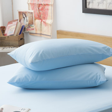 LAMINA 高科技膜防蹣防枕用保潔墊-2入(藍)