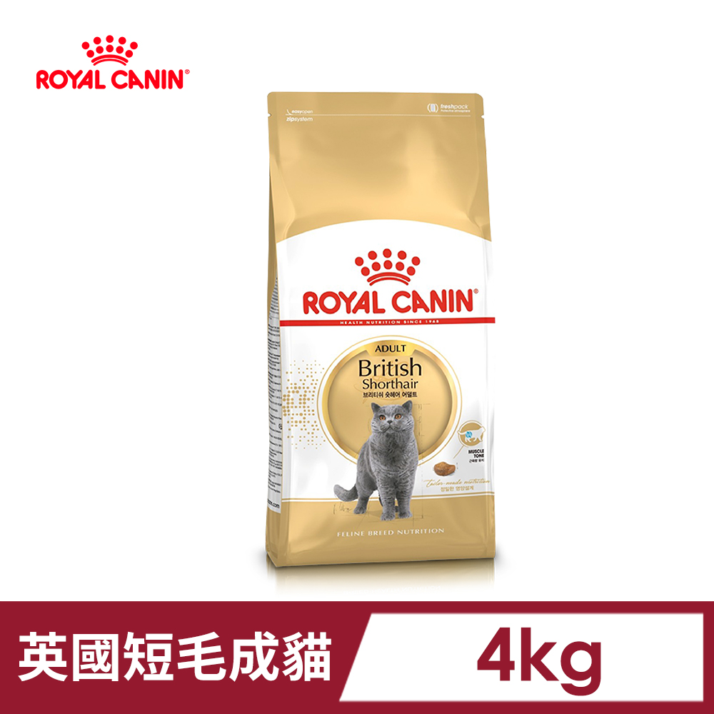 【法國皇家】英國短毛成貓BS34 4KG