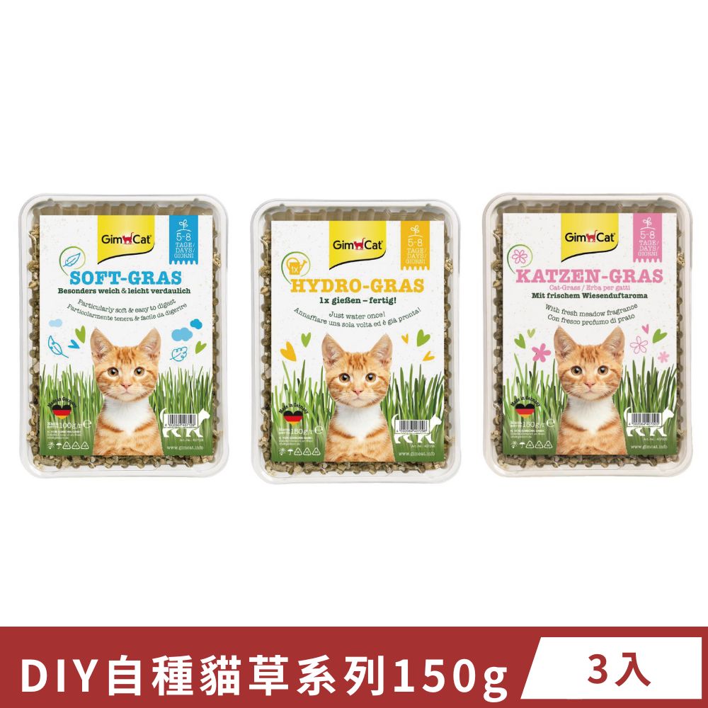 【GIMBORN 竣寶】DIY自種貓草系列150g(盒裝) x3入