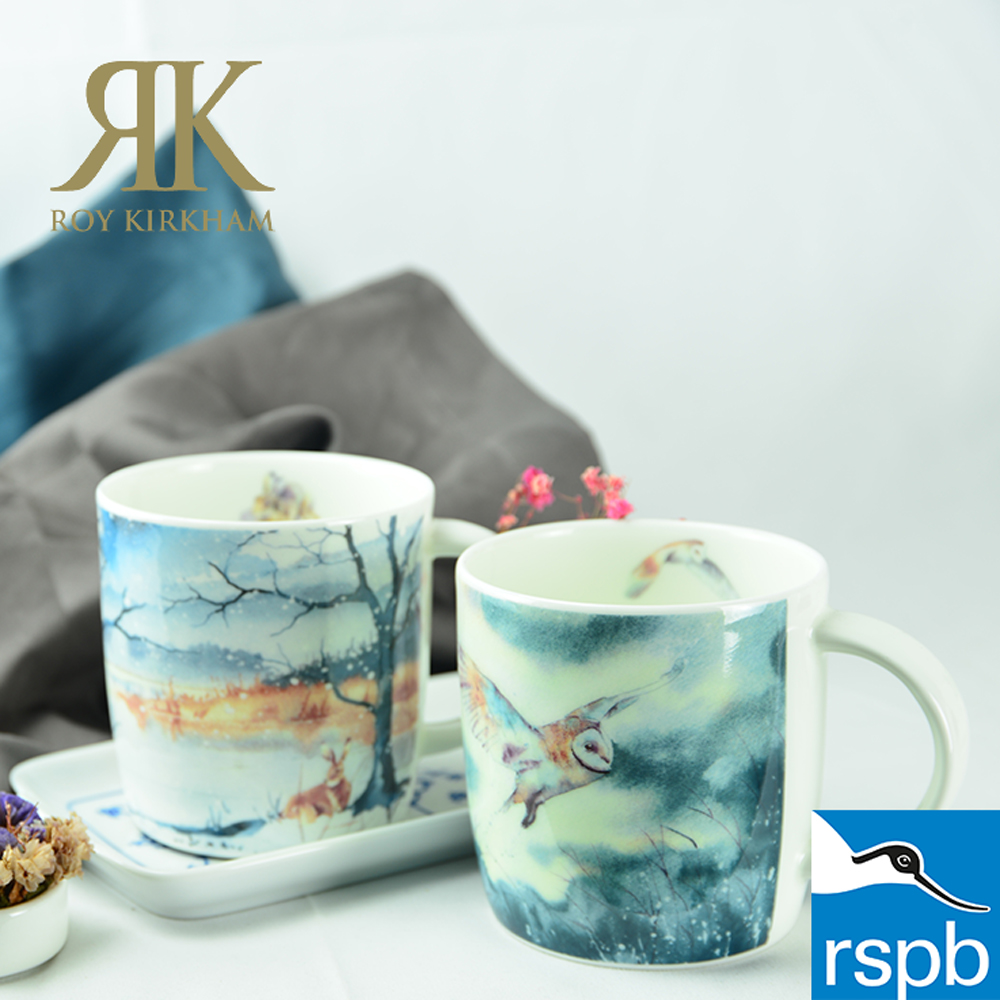 英國 Roy kirkham 冬季草原 RSPB系列-380ml骨瓷馬克杯(2入對杯組-鴞&兔)