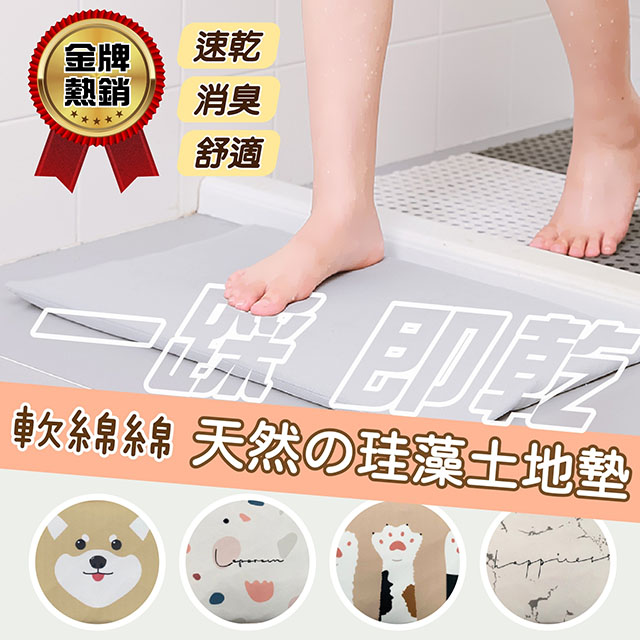 LILS 珪藻土 矽藻土 地墊 踏墊 軟式吸水地墊 布套可水洗
