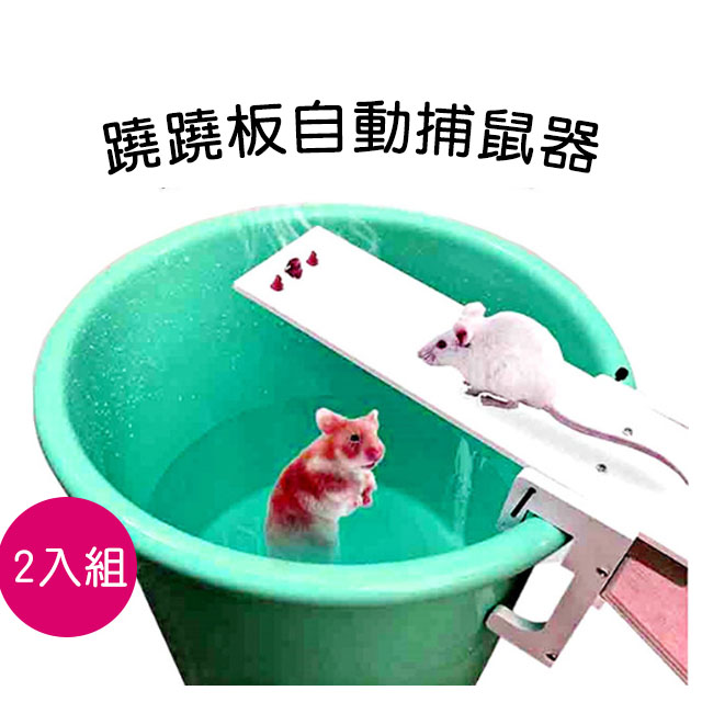 蹺蹺板自動捕鼠器-2入組