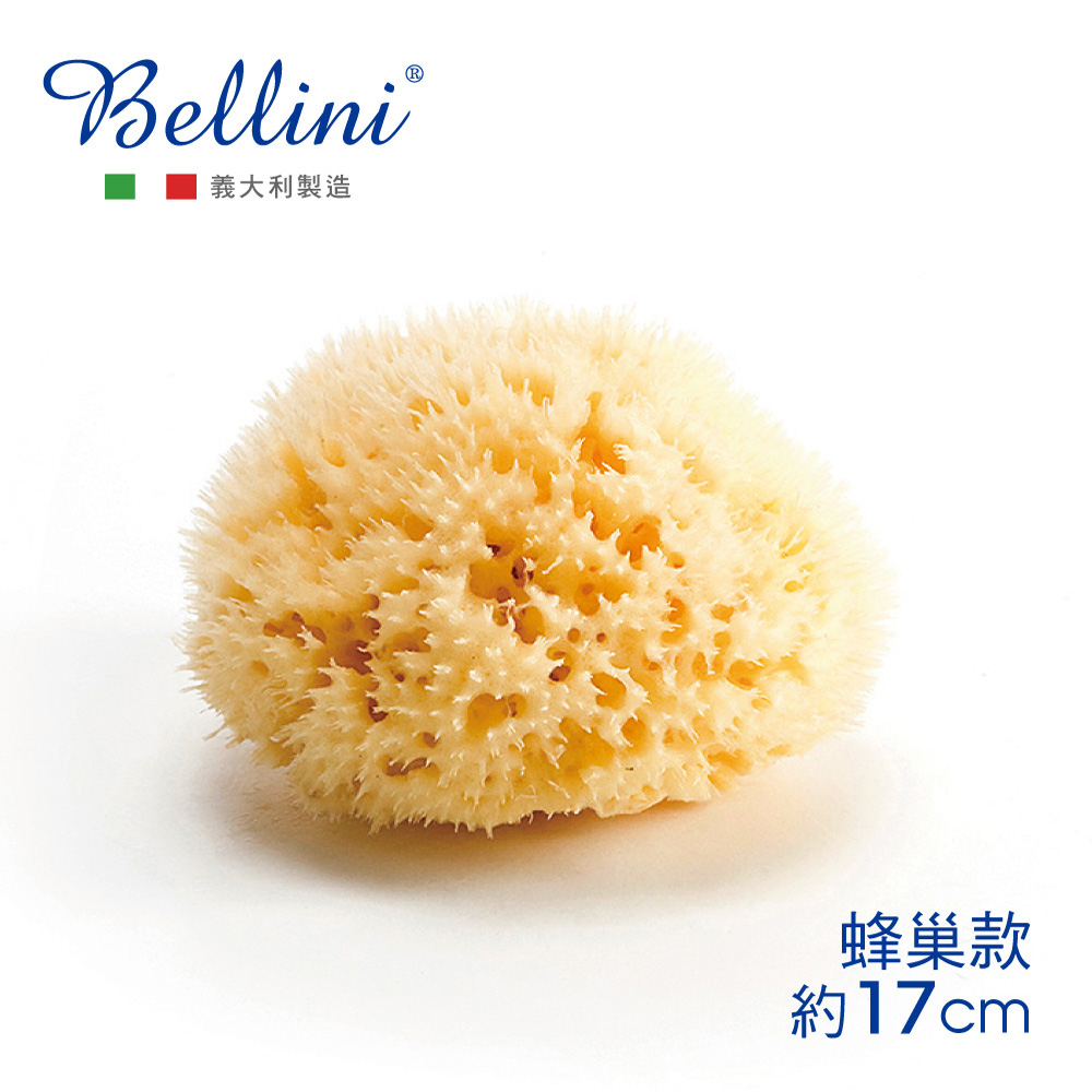 Bellini 義大利地中海天然-蜂巢海綿(款式SA20)