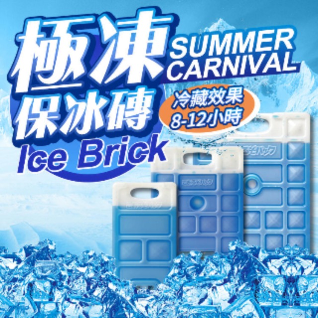 湊團購【急凍保冰磚-小款5入】均價130元 保冰箱 保冰劑 保冷磚 凍磚 冰塊磚 保冷板冰盒