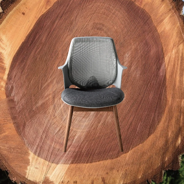 【舒樂活 4Health】CO Chair — 協作空間居家休閒椅（胡桃木腳）