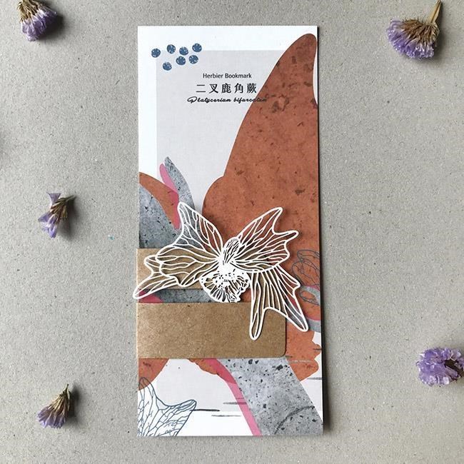 【FERN ONLY 只有蕨】蕨類標本紙雕-二叉鹿角蕨