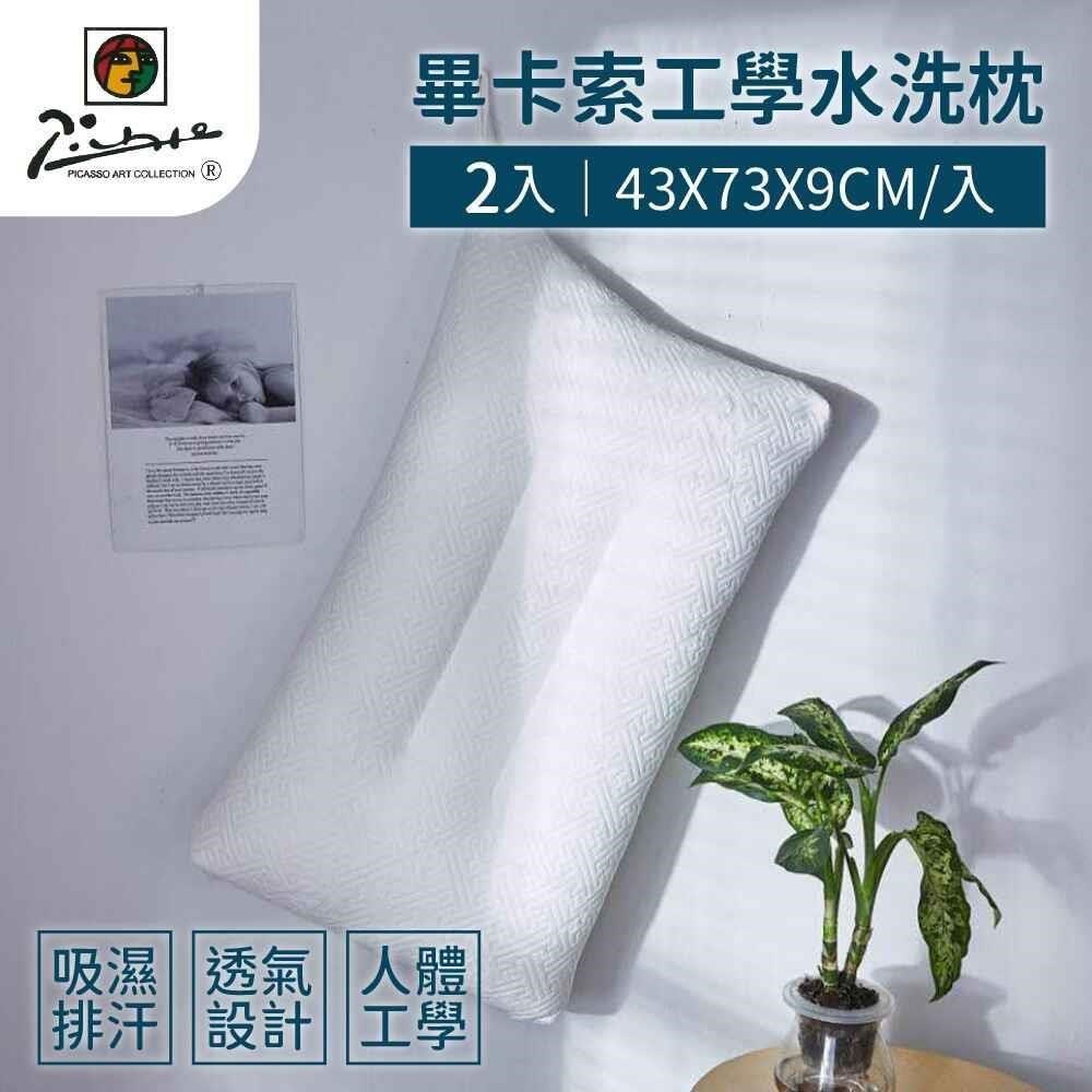 畢卡索工學水洗枕2入組( 43x73x9cm)