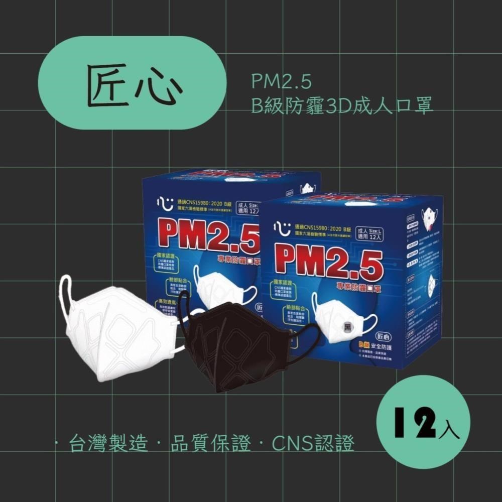 匠心PM2.5 B級防霾3D成人口罩 (單片包裝12入/盒) *2