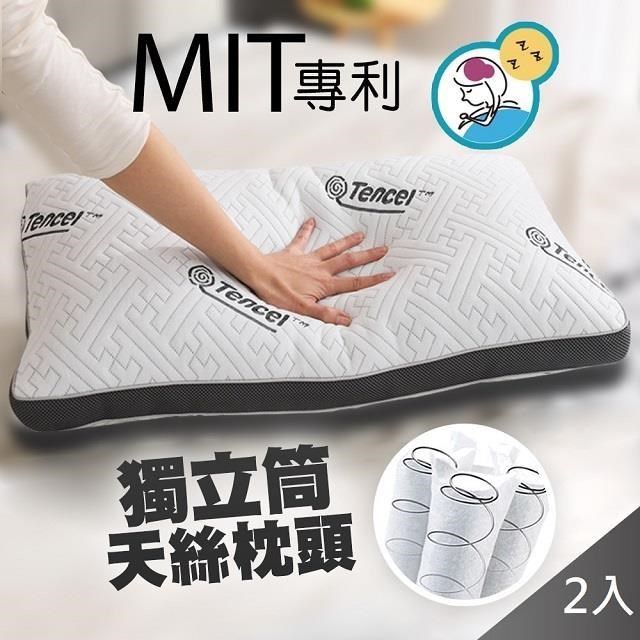 【藻土屋】MIT頂級可水洗天絲鍍鋅獨立筒飯店枕頭SUD-J2(二入組)