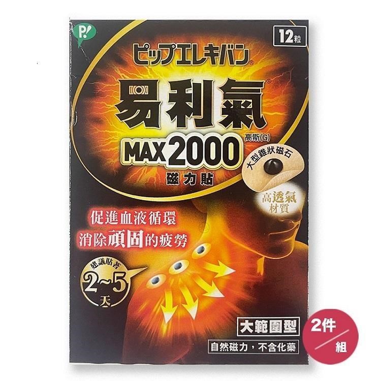 【易利氣】MAX2000磁力貼(12粒)*2件組