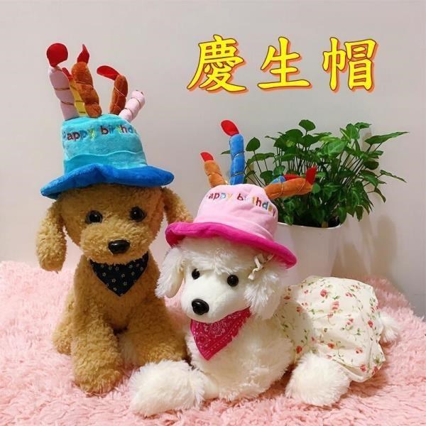 【珍愛頌】LD002 寵物生日帽