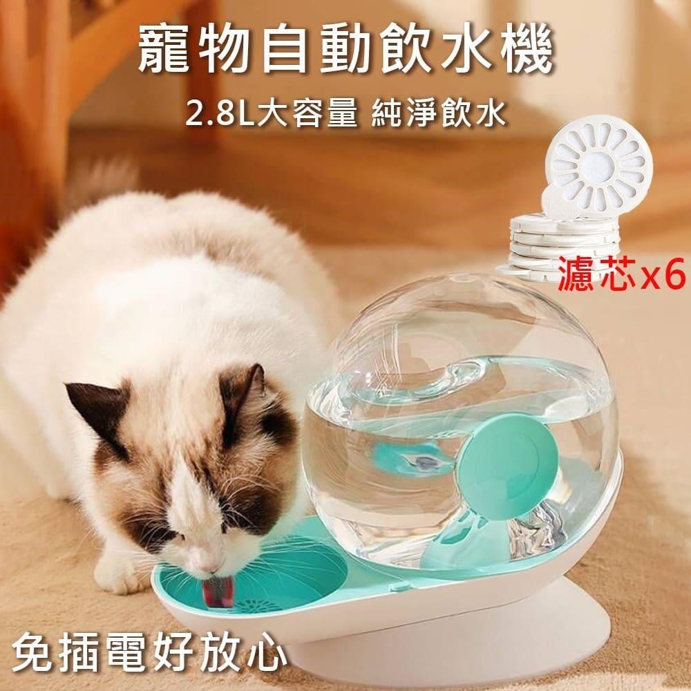 【媽媽咪呀】頂級透明蝸牛寵物自動飲水機(附濾芯6片/盒)