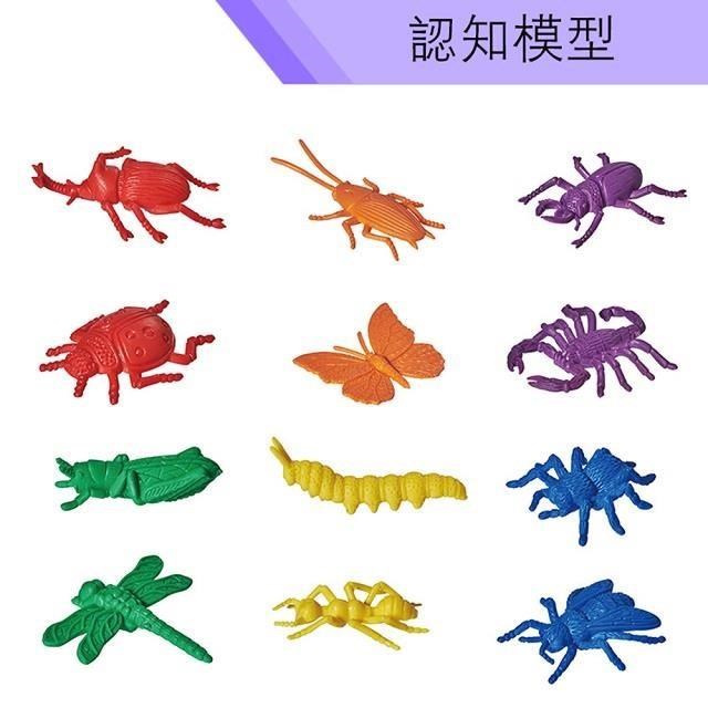 USL遊思樂台製教具-認知模型-昆蟲模型 (72pcs) F1010A01