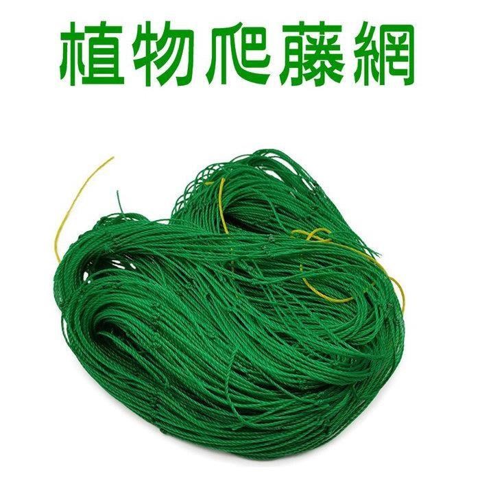 【珍愛頌】N419 爬藤網 180X500