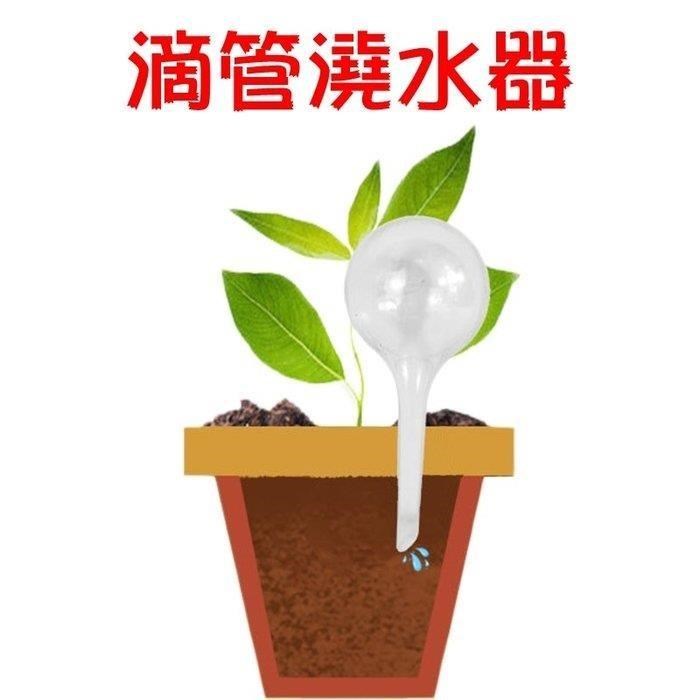 【珍愛頌】N158 小號 自動澆花器 滴管澆水器 5入