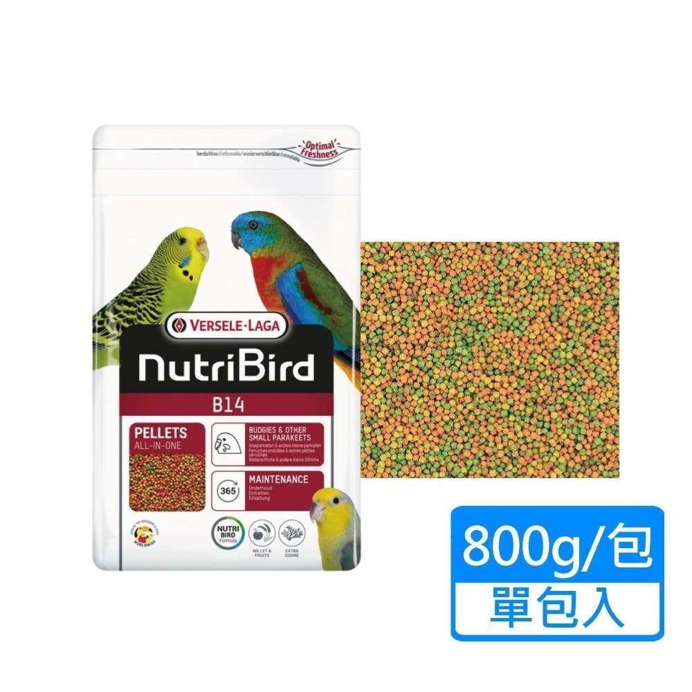 【Versele 凡賽爾】B14中小型鸚鵡-濃縮滋養丸 顆粒飼料 800g/包