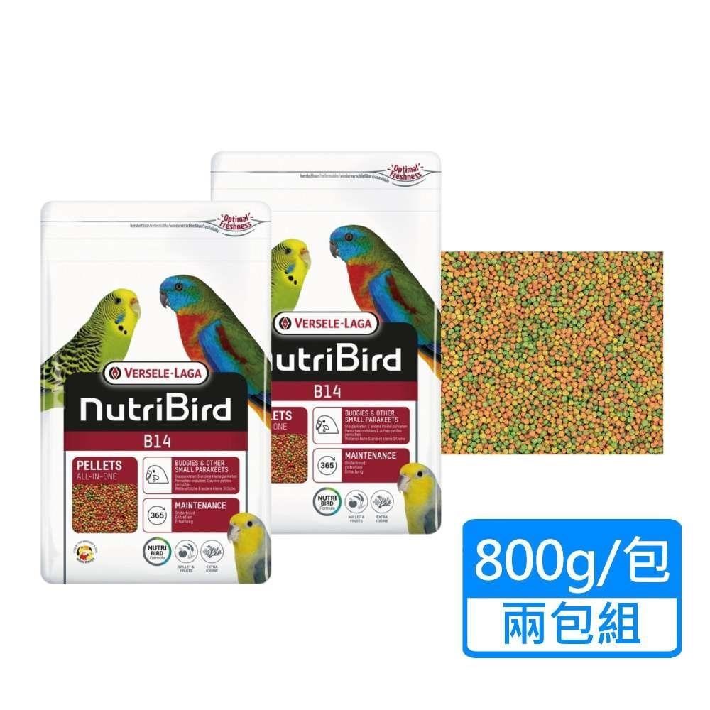 【Versele 凡賽爾】B14中小型鸚鵡-濃縮滋養丸 顆粒飼料 800g/包；兩包組
