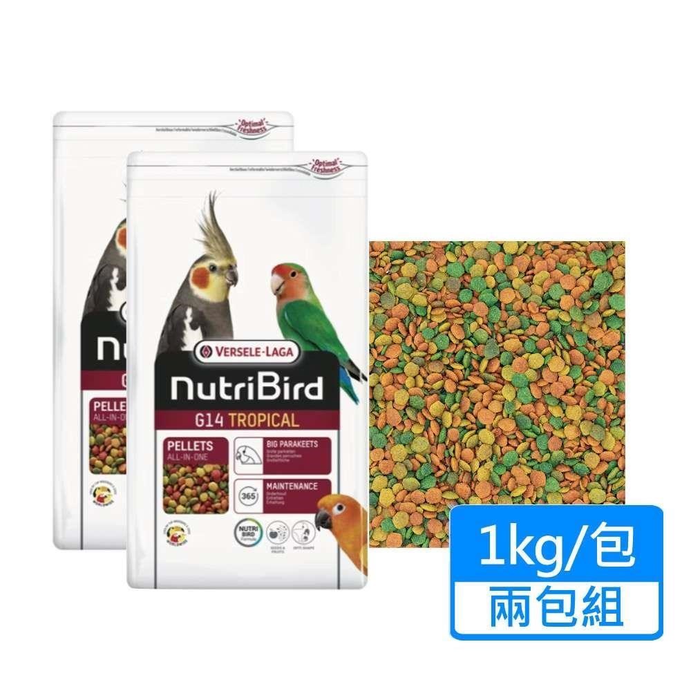 【Versele 凡賽爾】G14中大型鸚鵡-濃縮滋養丸 顆粒飼料 1kg/包；兩包組