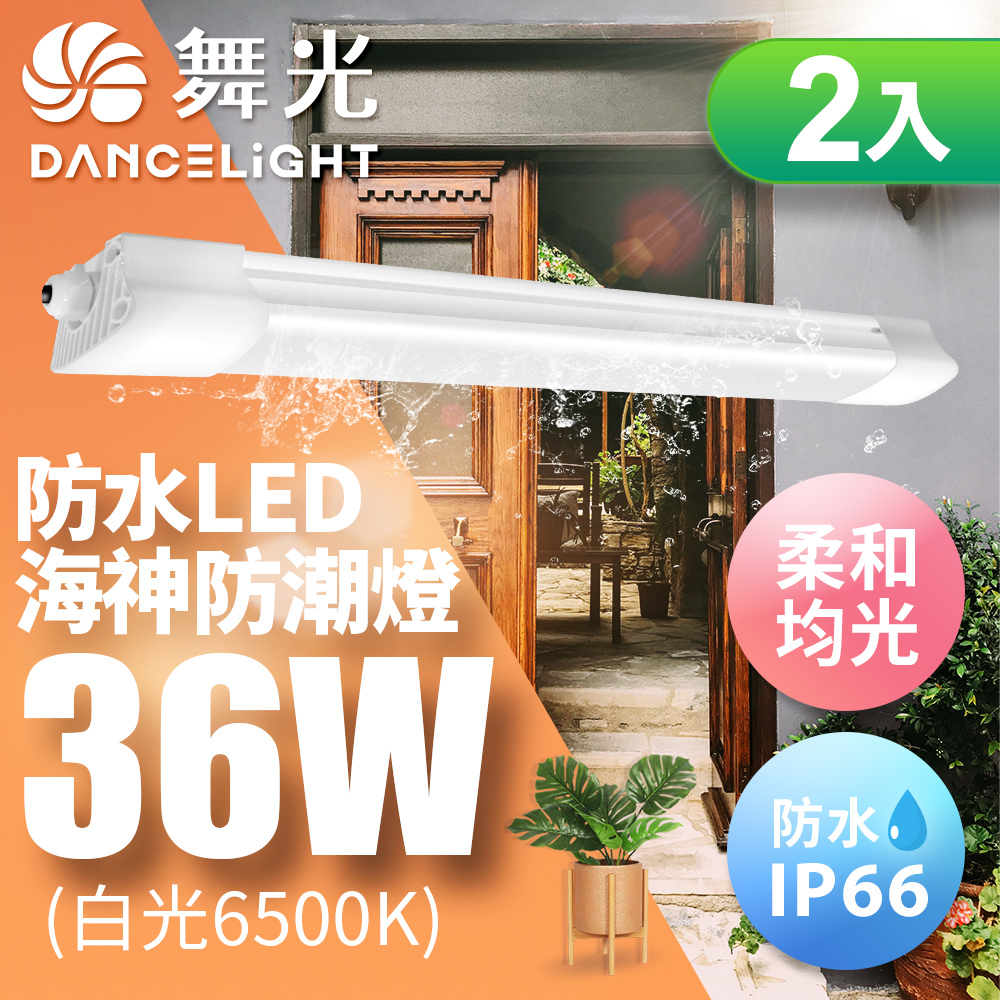 【舞光】36W 4尺 LED海神防潮燈 IP66防水 戶外燈具(白光/黃光)-2入