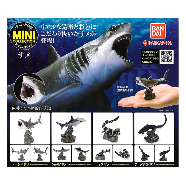 全套4款【日本正版】生物大圖鑑 鯊魚篇 扭蛋 轉蛋 深海鯊魚 獵捕者 動物模型 - 939092