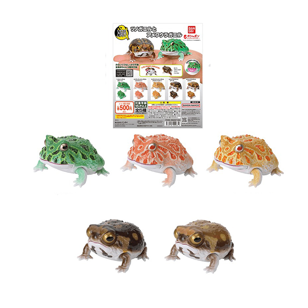 萬代 轉蛋 生物大圖鑑 角蛙與饅頭蛙 一套五款 日版