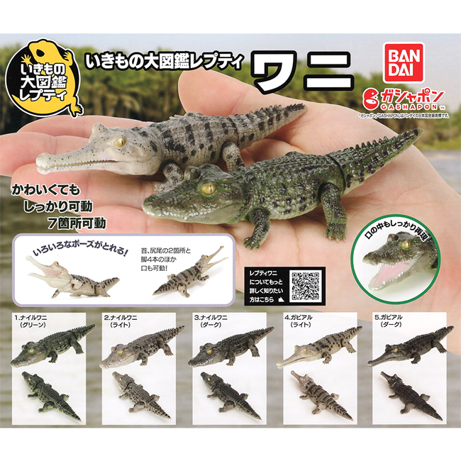 全套5款【日本正版】生物大圖鑑 鱷魚 扭蛋 轉蛋 尼羅鱷 恆河鱷 動物模型 BANDAI 萬代 776588