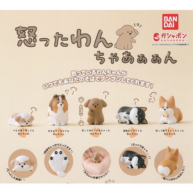全套5款【日本正版】生氣小狗公仔 扭蛋 轉蛋 生氣的狗 憤怒的狗 動物模型 BANDAI 萬代 745935