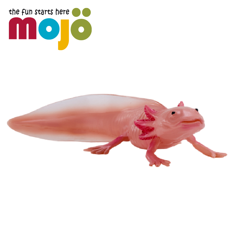 MOJO FUN 動物星球 動物模型-墨西哥鈍口螈