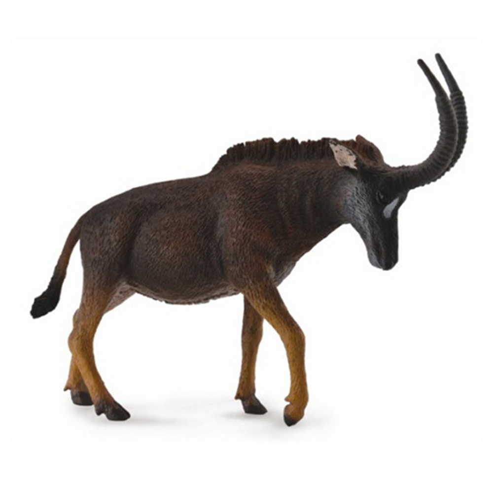 【永曄】collectA 柯雷塔A-英國高擬真動物模型-野生動物-羅馬羚羊(雌) 885780