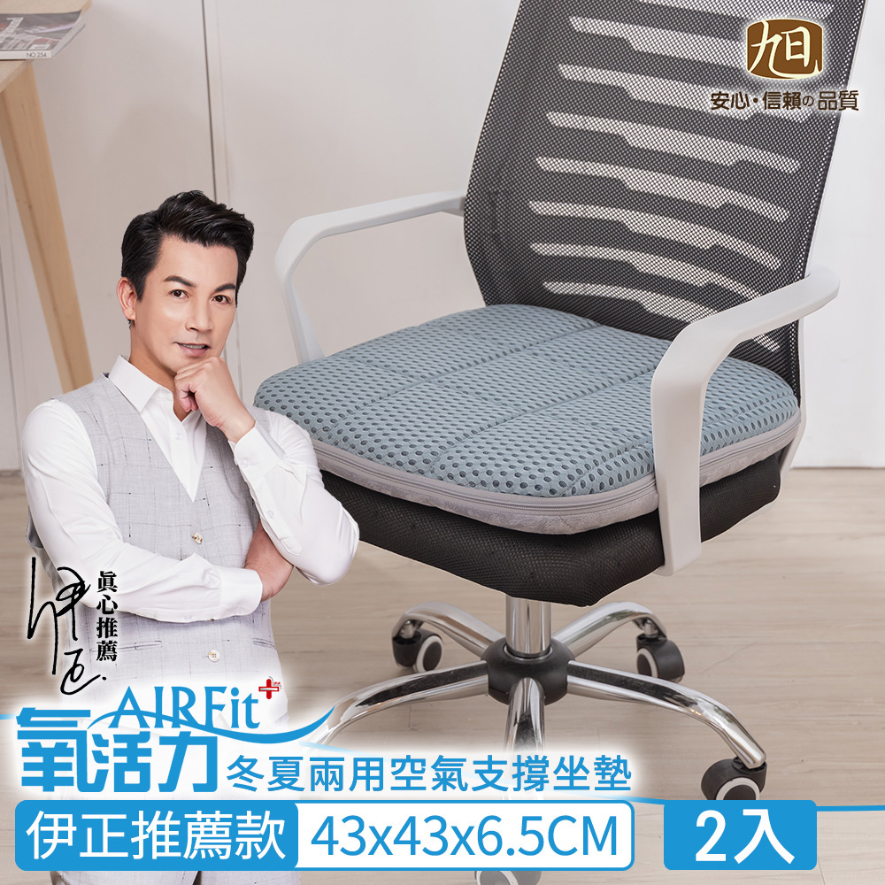 日本旭川 厚磅支撐冬夏兩用空氣坐墊2入(限量版)
