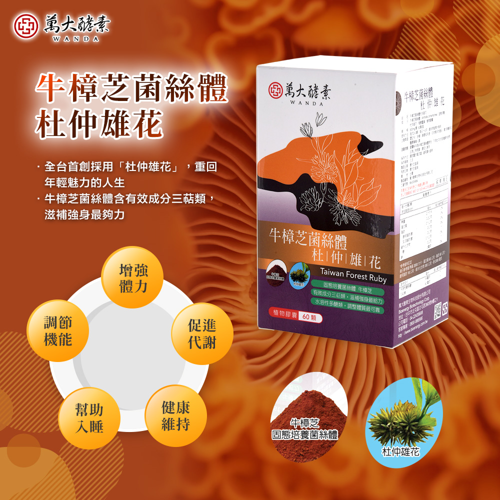 萬大酵素 牛樟芝菌絲體杜仲雄花膠囊(60粒/盒)