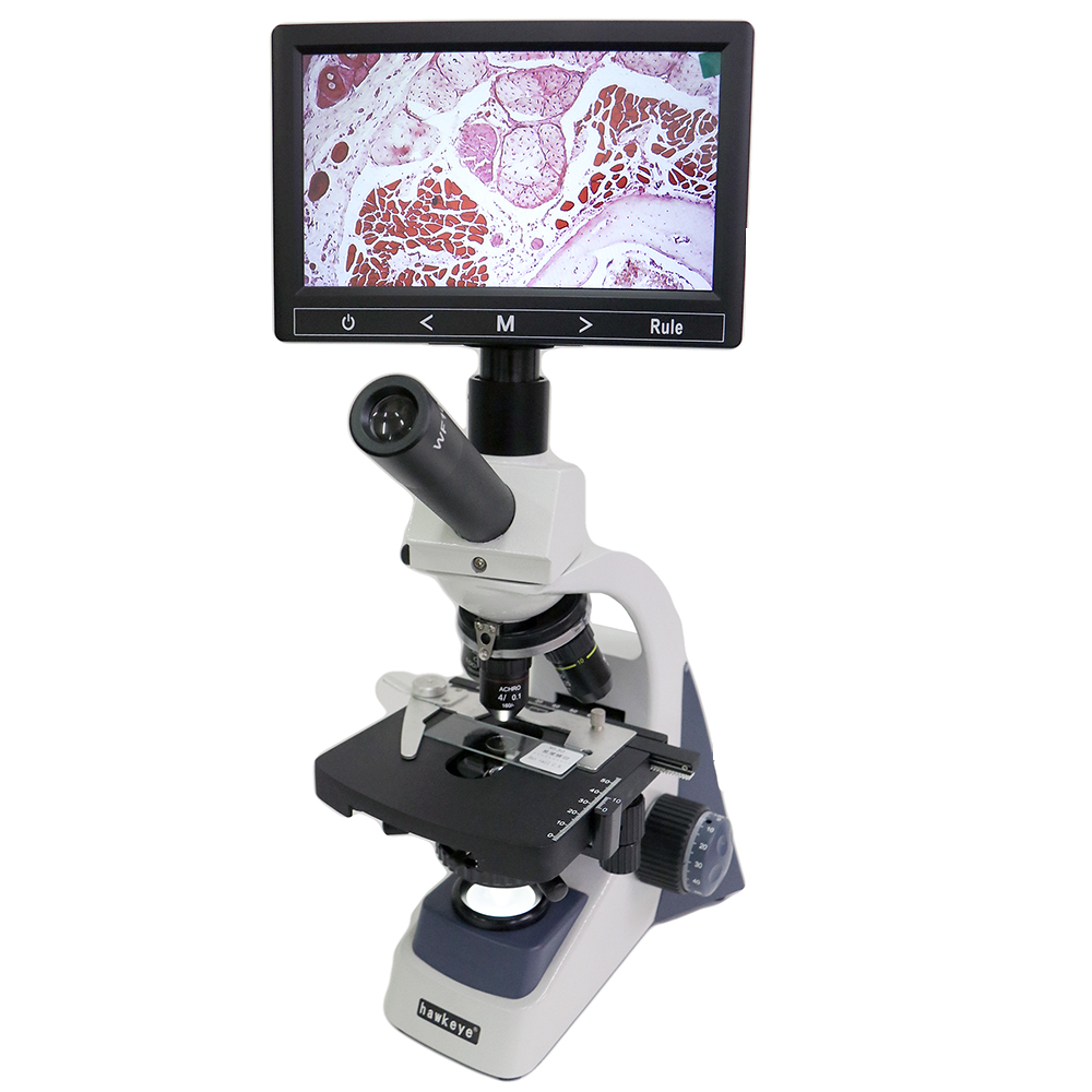 hawkeye 40倍-2000倍 LED V型 生物顯微鏡 含7吋IPS液晶螢幕