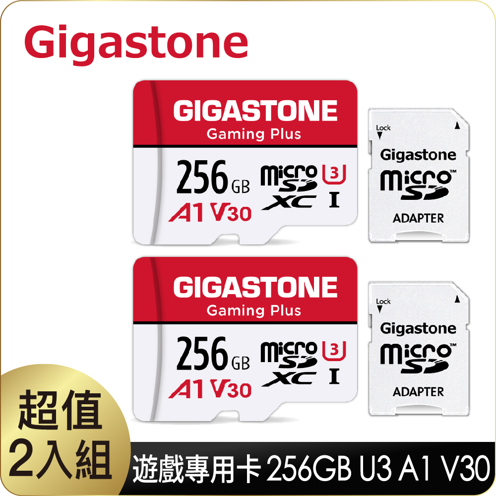 Gigastone 立達 Gaming Plus microSDXC UHS-Ⅰ U3 256GB遊戲專用記憶卡-2入組(256G A1 V30)
