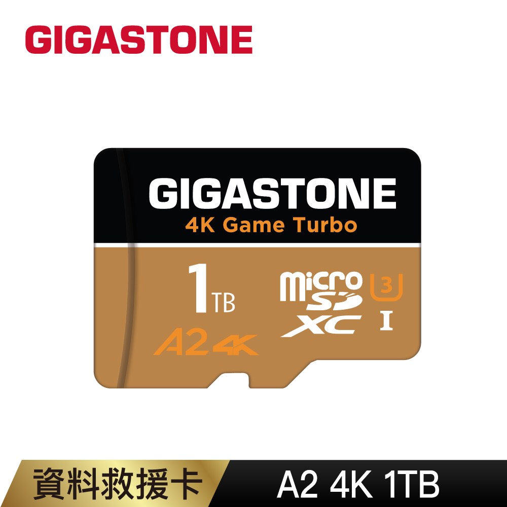 Gigastone 立達 資料救援 1TB microSDXC UHS-I U3 A2 V30 高速記憶卡
