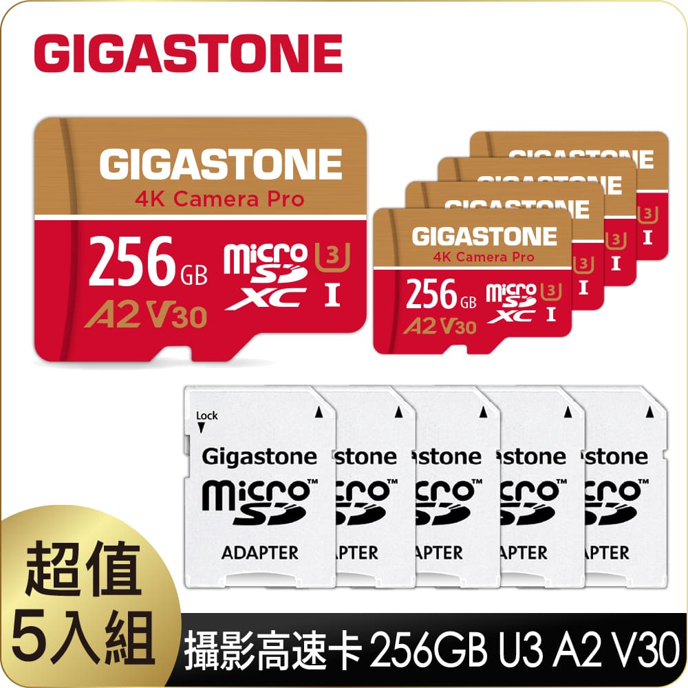 GIGASTONE 立達 Camera Pro microSDXC UHS-Ⅰ U3 A2 V30 256GB攝影高速記憶卡-5入組