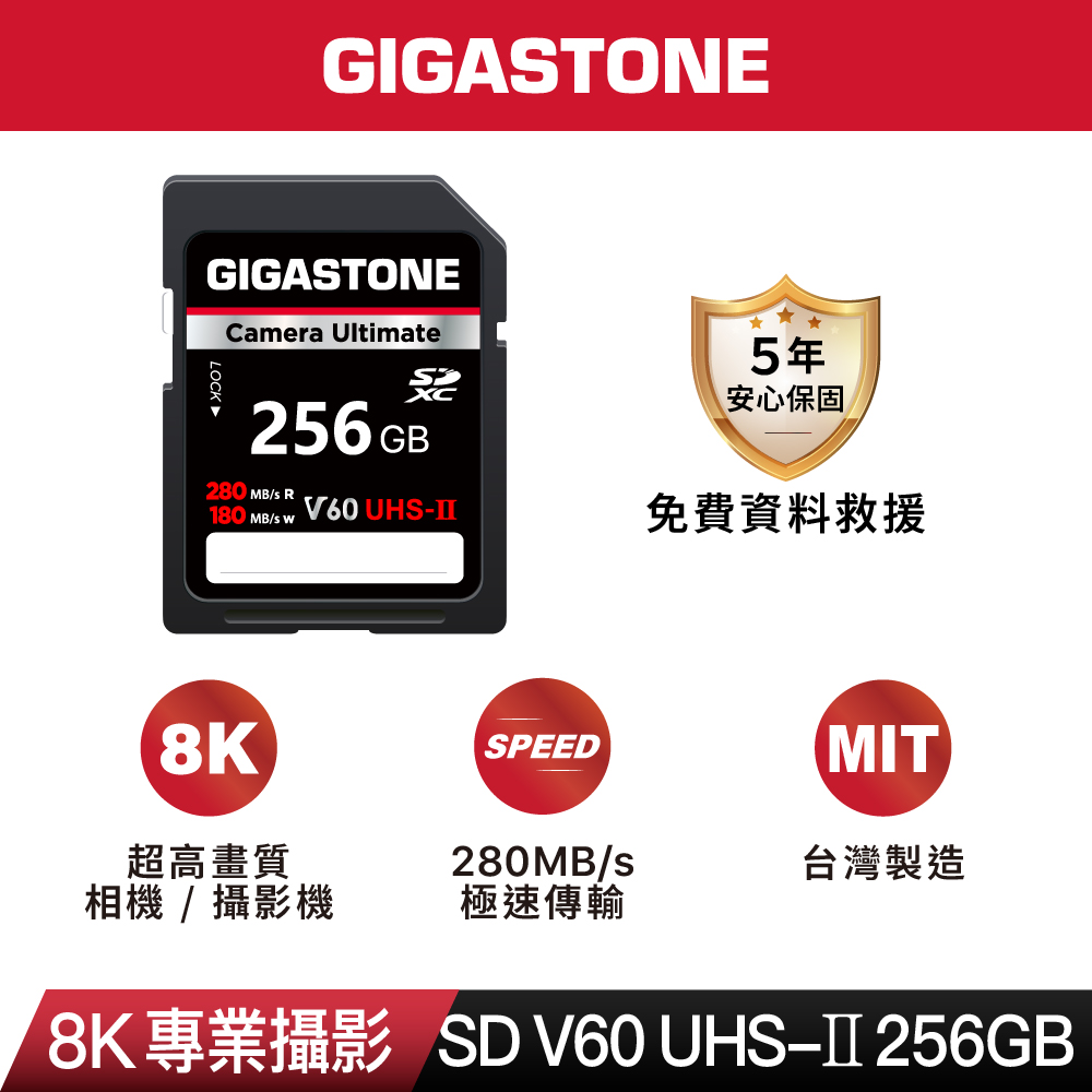 GIGASTONE SDXC UHS-II V60 256GB記憶卡