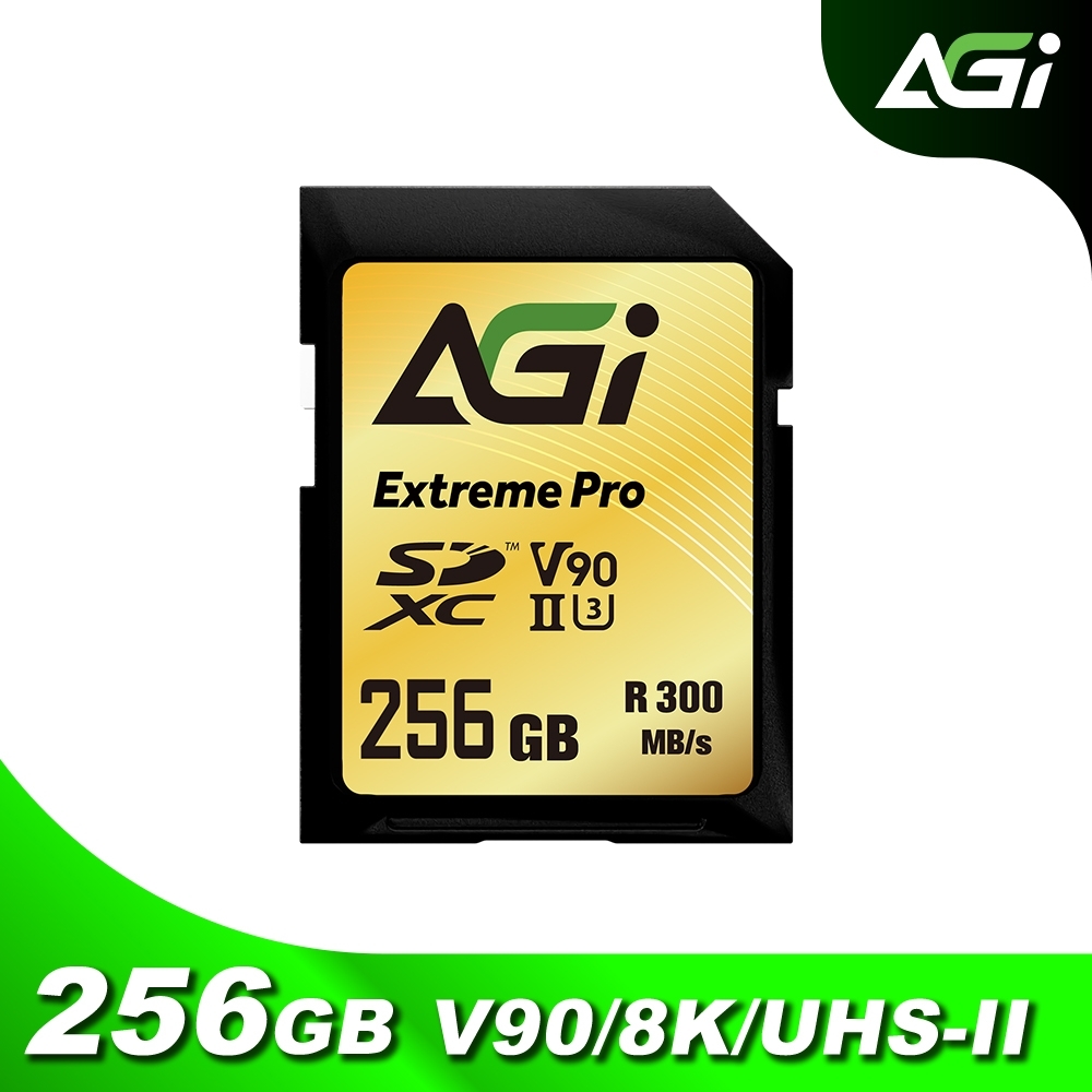 SE238 256GB Extreme SDXC UHS-II U3 V90 記憶卡 附轉卡(300/200 MB/s)