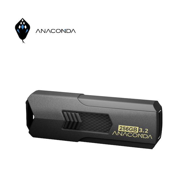 ANACOMDA 巨蟒 P321 256GB USB 3.2 Gen1x1
