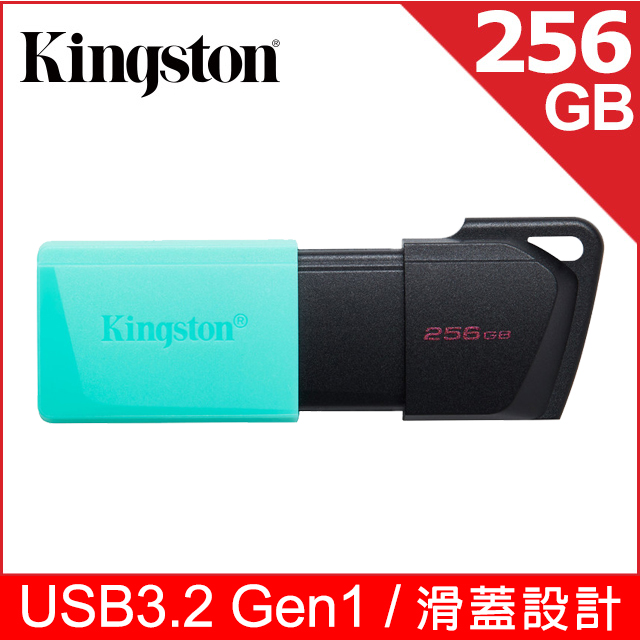 金士頓 Kingston DataTraveler Exodia M USB 隨身碟—256GB (DTXM/256GB)