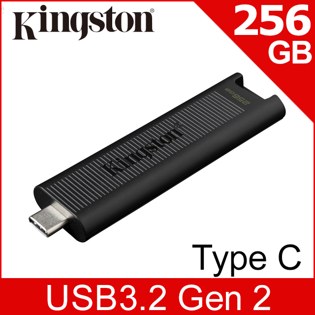 Kingston 金士頓 DataTraveler Max USB 3.2 Gen2 Type-C 256GB 隨身碟 (DTMAX/256GB)