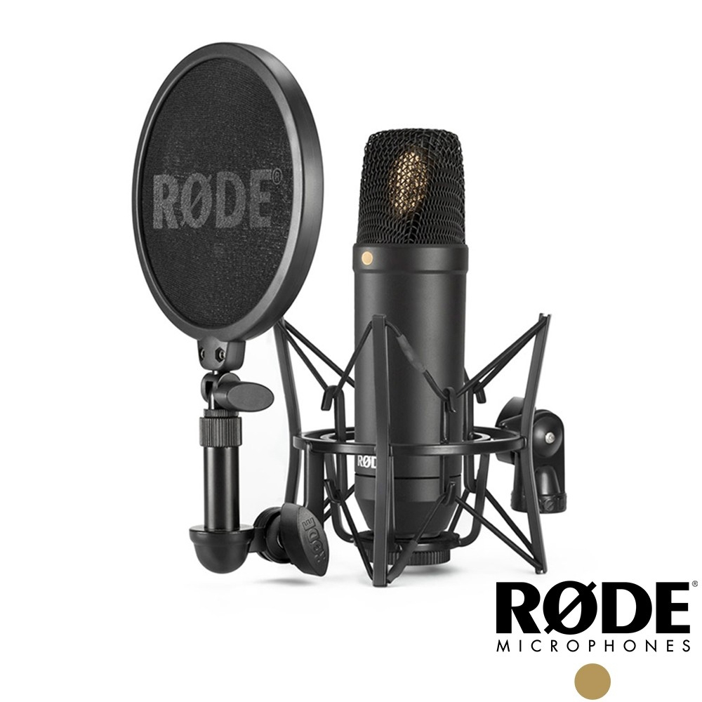 RODE NT2-A 電容式麥克風 RDNT2A 公司貨
