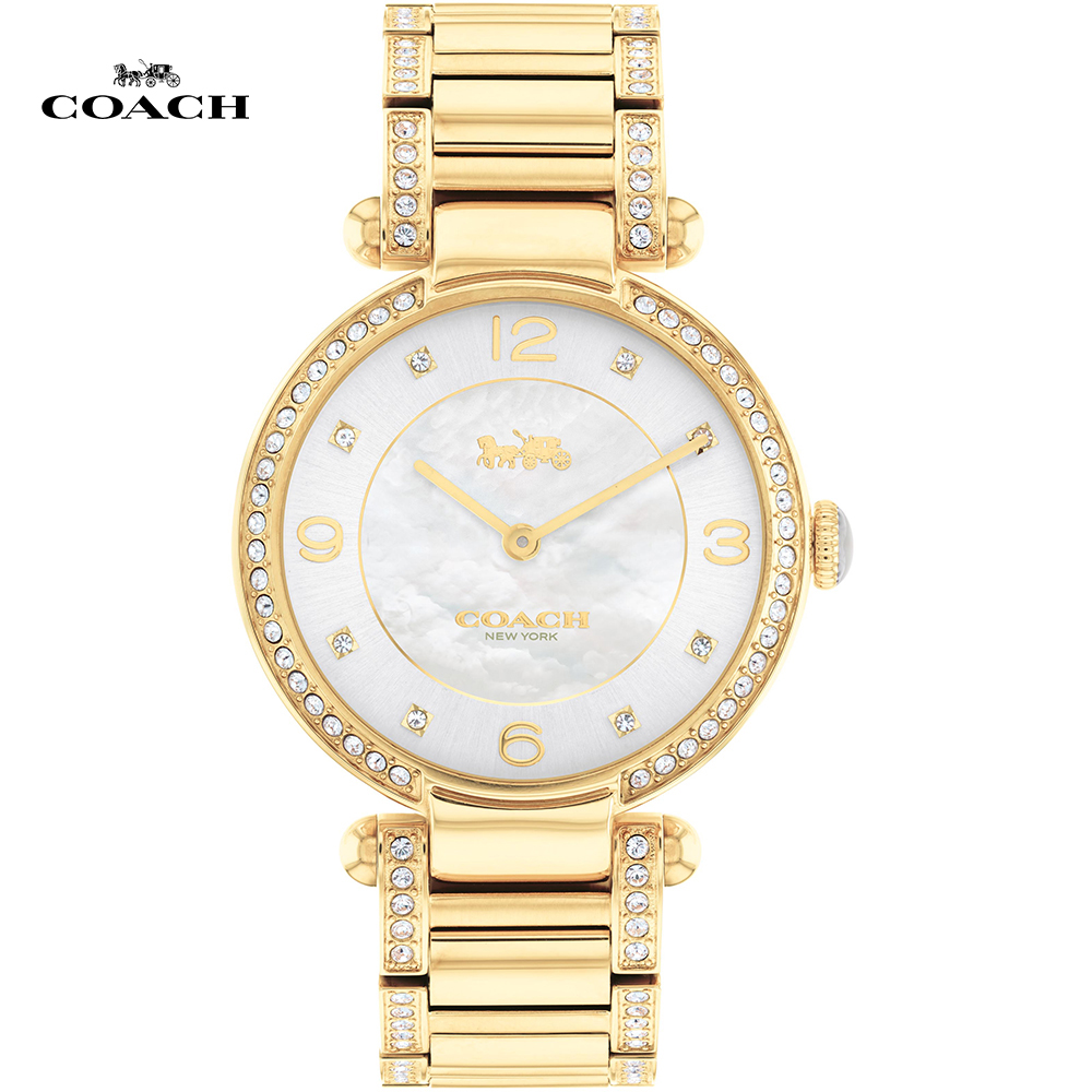 COACH 璀璨晶鑽珍珠貝氣質腕錶/34mm/金/CO14503832