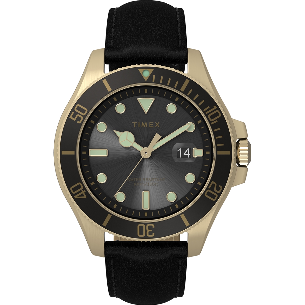 【TIMEX】天美時 風格系列 43 毫米金色調經典手錶 (黑x黑 TXTW2V42200)