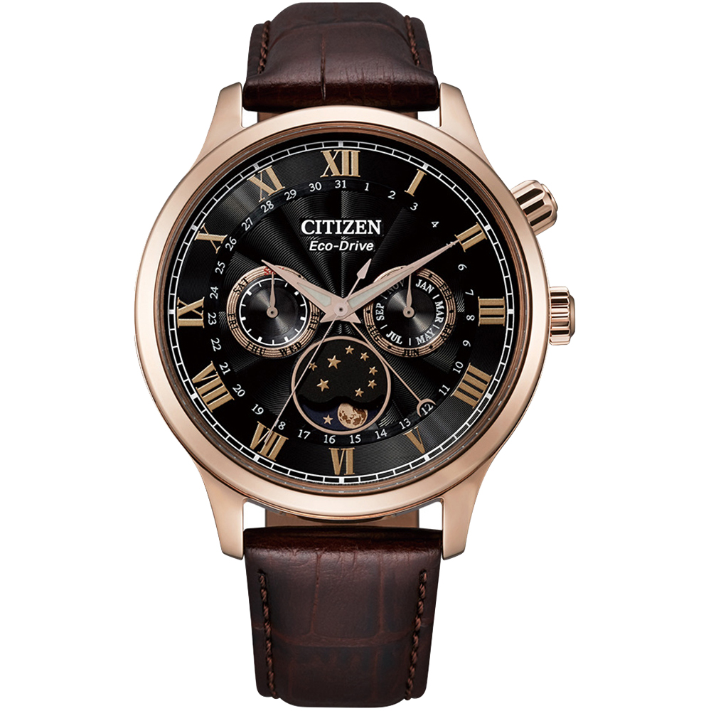 CITIZEN 星辰 GENTS光動能經典羅馬月相錶/黑X咖啡/42mm/AP1059-19E