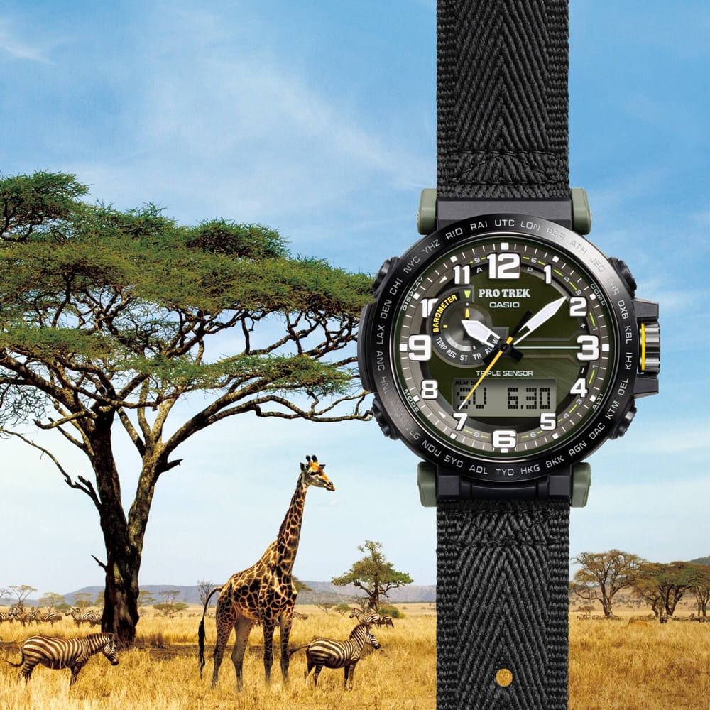 【CASIO 卡西歐】PROTREK 戶外探索 太陽能電力 三重感應器 環保材質設計 PRG-601YB-3 51.5mm