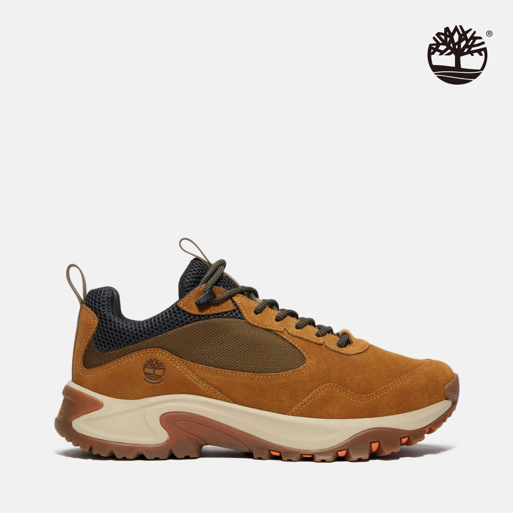 Timberland 男款棕色防水中筒健行鞋|A6DWJES4