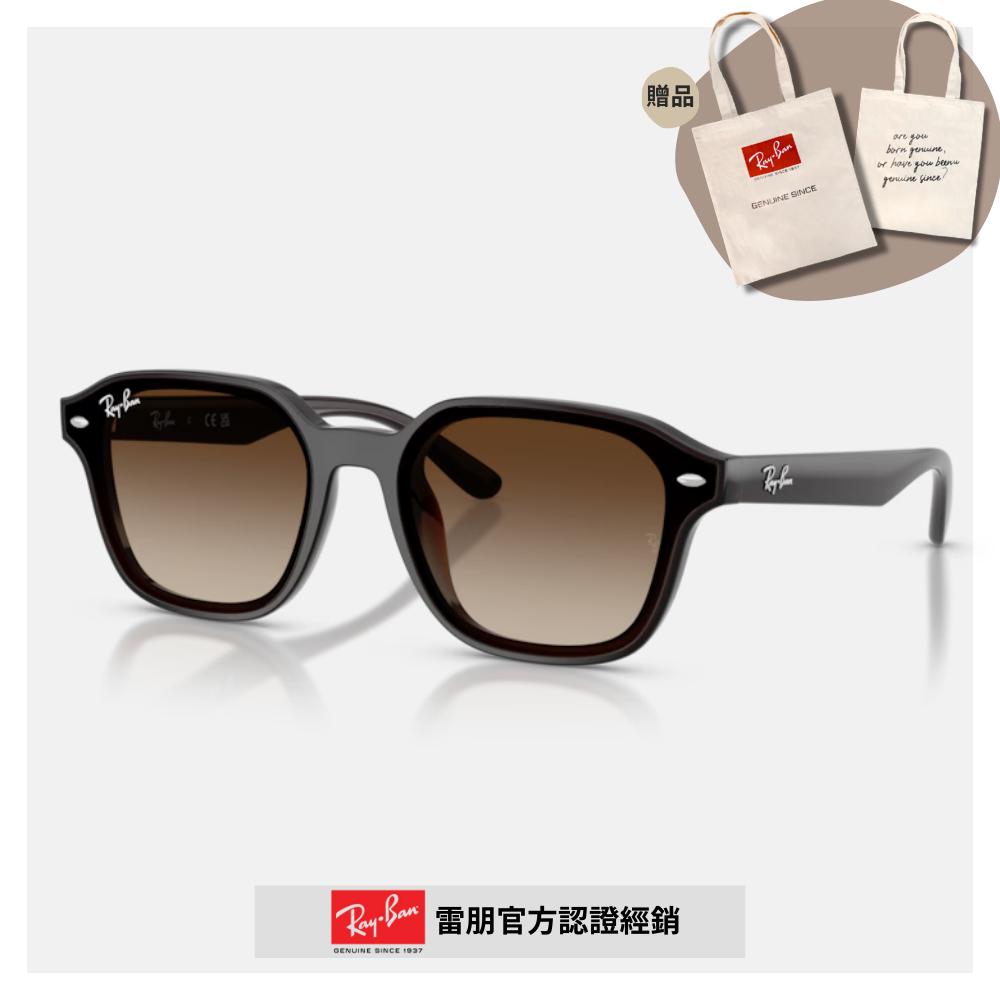 【RayBan 雷朋】方形膠框漸層太陽眼鏡(RB4458D-714/13 65mm)