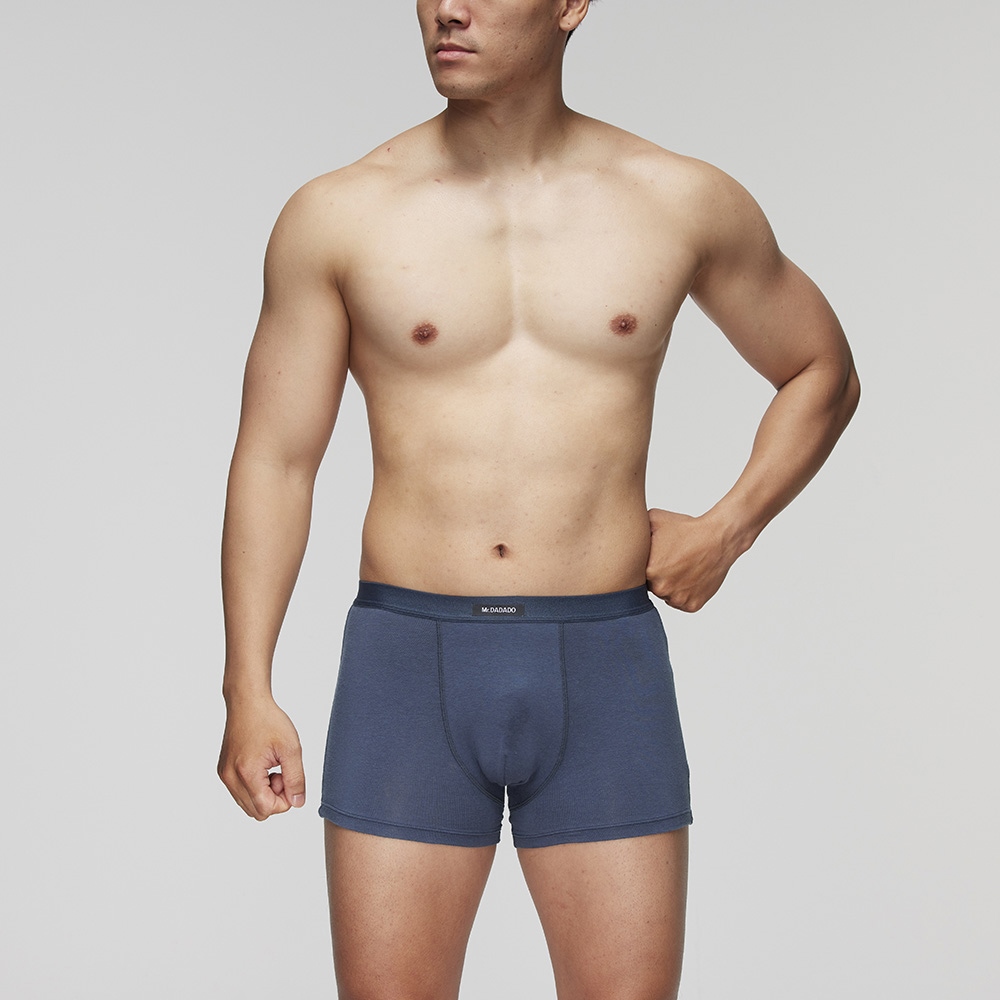 DADADO-機能系列-莫代爾木漿纖維 M-LL合身平口內褲(紫藍)-GS6176PB