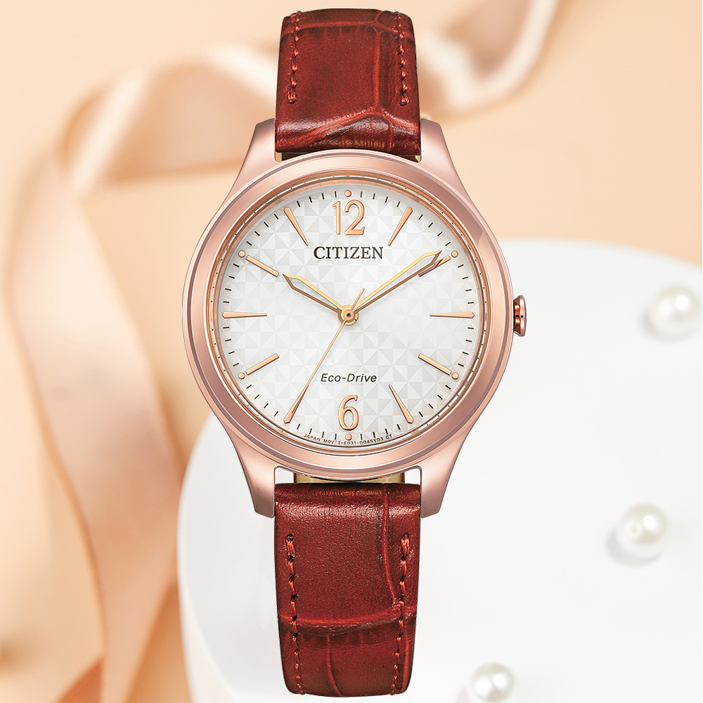 CITIZEN星辰 LADYS系列 光動能 時尚格紋 經典腕錶 32mm / EM0508-12A